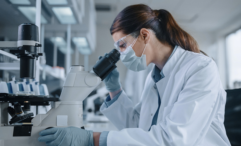 Jiangsu Sulong Eco-Tecnologias Co., Ltd.